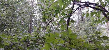 Female Risky Masturbation POV in Public Plase