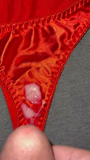 Cum on wife's panties 58
