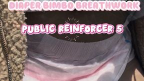 PUBLIC TRAINING REINFORCER 5