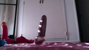 Sunny Anal Ride