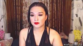 Brunette webcam girl chatting