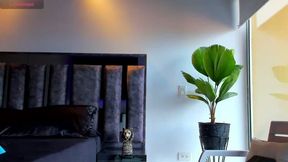 Dion Seans Party on Dec 16, 2025