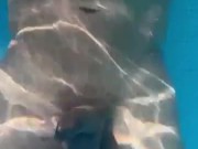 Atlantis Under Water