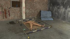 Punishingly Pegged & Fed!