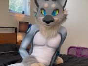 A horny lynx jerks off in his petsuit