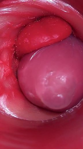 Inside a Camgirl Cervix POV Camera in Vagina with Big Dick Toy