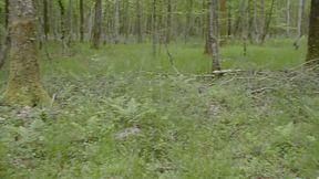 sous le tir des chasseurs, on l a fait ! on a baise dans la foret ! ...