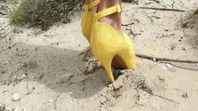 Walk to the sea and back AVI(1280x720)FHD