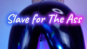 Slave for the Ass