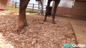 Busty Farm Girls Seduce Two Studs Into Hard Fucking