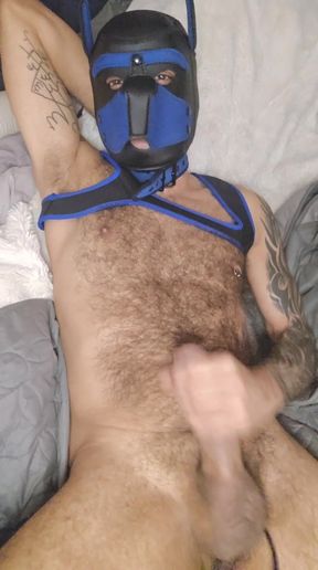 Pup Talking Dirty to You