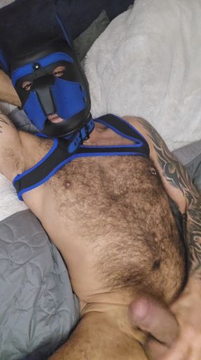 Pup Talking Dirty to You