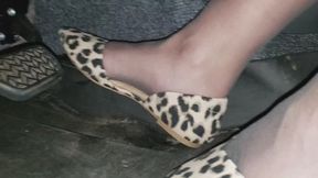 Cheetah flats