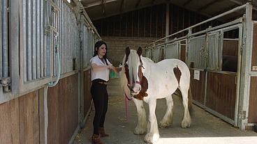 Private Riding School - The complete Movie - Anal - Big Tits - Creampie