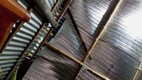 Stepsister with Stepbrother sexy videos