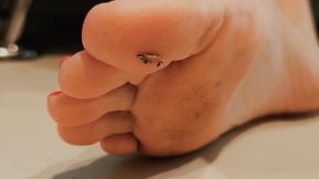 Miss Fair Trade & Miss Lola Lu - They Casually Snooze Crush Tiny Intruders - 1080 p