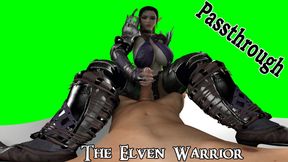 The Elven Warrior [Passthrough]