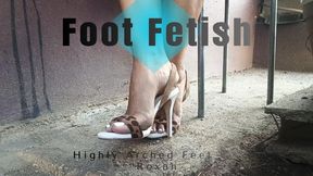 Goddess feet in high heels and with well-painted nails (3)