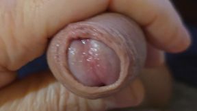 Men Big Nice Dick Jerking in Front of Cum E Big Cumshot