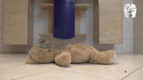 Teddy crushed under Boots