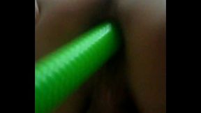 Ch&iacute_nh ch&uacute_ nha