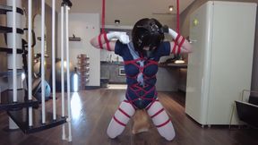 Mz31 - a Girl Tied and Suspended by a Red Rope Reaches Orgasm.