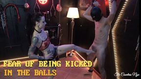 MISTRESS NYX - FEAR OF BEING KICKED IN THE BALLS