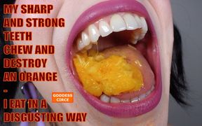 My Sharp and Strong Teeth Chew and Destroy an Orange - I Eat in a Disgusting Way