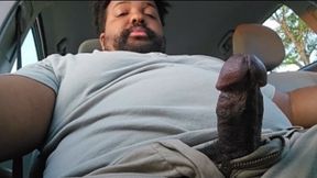 Black Bear Public Driving Masturbation