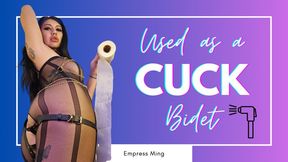 Used as a Cuck Bidet