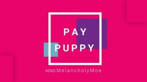 Pay Puppy