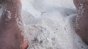 Sandy Toes and Sultry Devotion