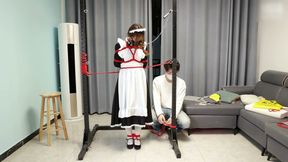 The Maid's Standing Restraints Merged with the Metal Bracket