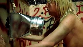 kelly wells takes dp and ass to mouth threesome