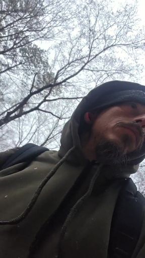 Cruising in the Snowy Woods