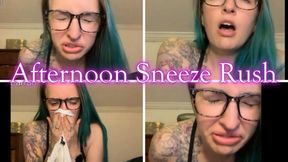 Afternoon Sneeze Rush