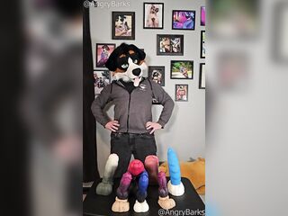 WILL THE KNOT FIT? @AngryBarks tries pushing 6 Weredog toys into Azure's Snoot