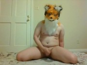 Mr. Foxy playing around