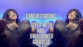 Toyed with and Swallowed Giantess