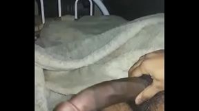 زب عربي اسود كبير