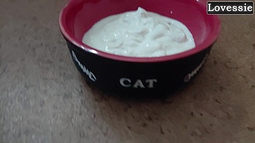 Sexy kitty eats from a bowl and licks her master's feet - Lovessie