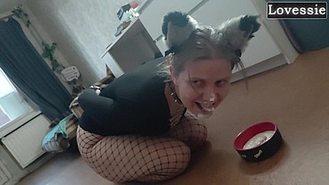 Sexy kitty eats from a bowl and licks her master's feet - Lovessie