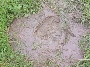 Cigarette Crush in Mud. Trampled and ground to nothing 👣👣