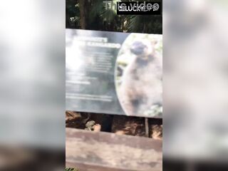 A Real Australian Experience With Aussie Honey Jade Harper