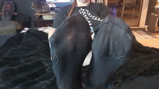 Dirty Talk Mommy Catches You Spying Permission To Cum