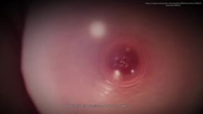 B033 Ntr Husband Locked in Cage by Wife to Watch Him Having Sex with Lover