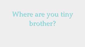 Where Are you Tiny Brother?