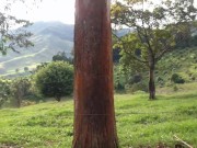 UNA RICA  FOLLADA  EN UN DÍA DE CAMPO