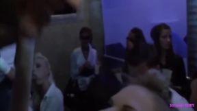 Czech Summer Holiday Party .5 30 Min