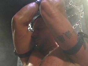 Bound Muscle: The Gauntlet